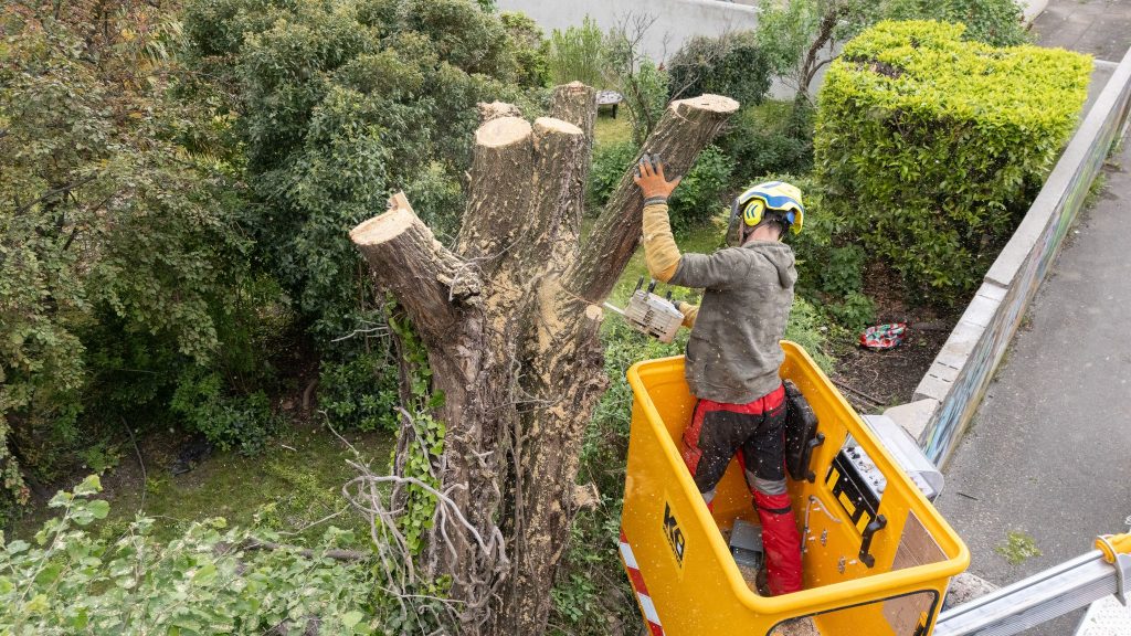 ETS ROUSSEL - Espaces verts 63 - Elagage