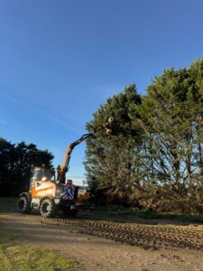 Intervention au lamier : taille et sécurisation d’une haie de cyprès à Issoire